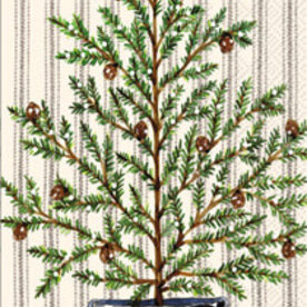 Boston International Cocktail-Balsam Winter  C000153