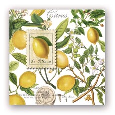 Michel Design Works Lemon Basil Cocktail Napkin   814008