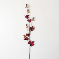 GOLD BERRY BURGUNDY FOLIAGE   28199BS