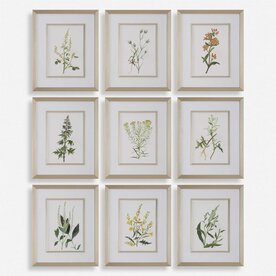 Uttermost BOTANICAL FLOWERS FRAMED PRINT  32339