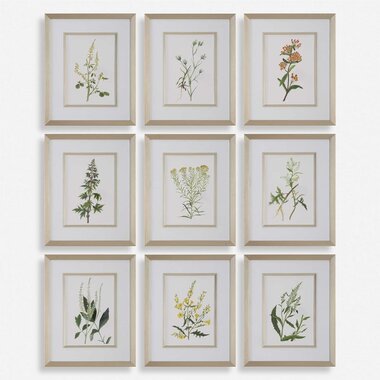 Uttermost BOTANICAL FLOWERS FRAMED PRINT  32339