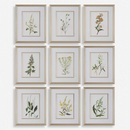 Uttermost BOTANICAL FLOWERS FRAMED PRINT  32339