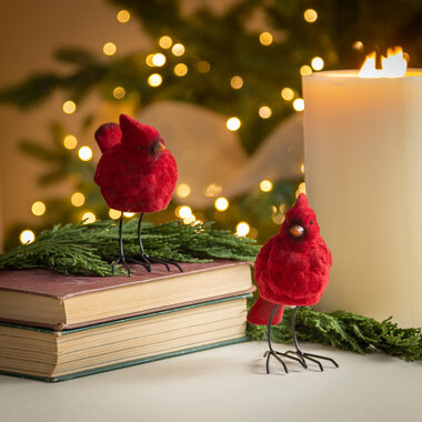 Evergreen Enterprises 5" Ceramic Cardinal with Metal Feet Table Decor    8TAC287