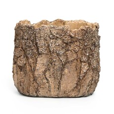 Meravic POT LIVE EDGE LOG OVAL LARGE BROWN CONCRETE   A3312