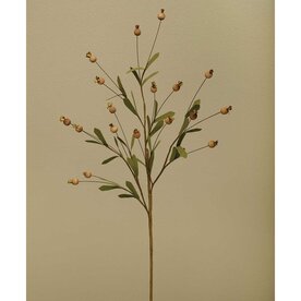 Meravic WOOD BEACHD BERRY   9"X31" BEIGE     F2743 BE