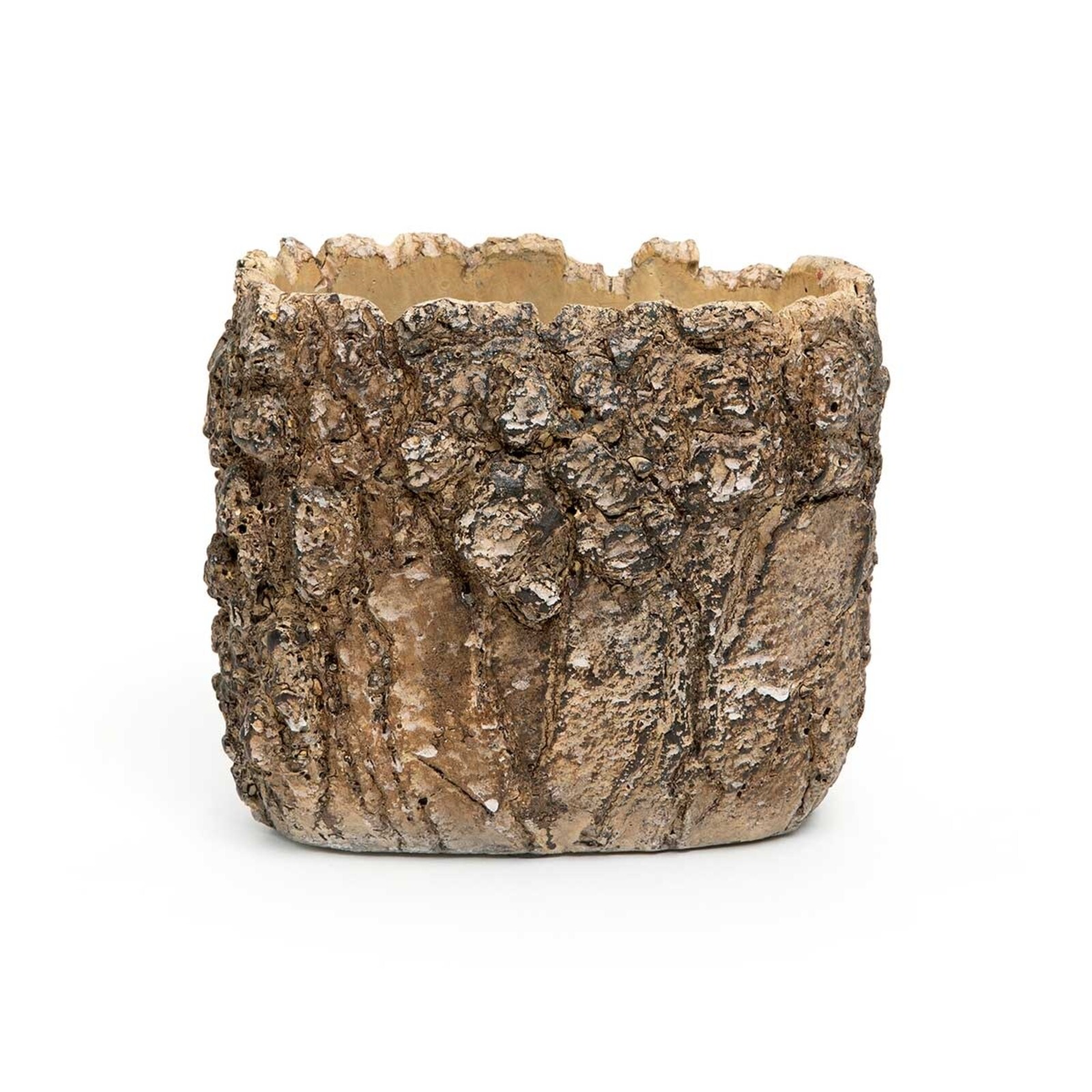 Meravic POT LIVE EDGE LOG OVAL SMALL  BROWN CONCRETE   A3313 loading=