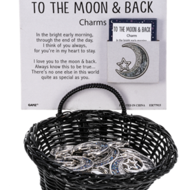 Ganz Charm -I Love You to the Moon and Back (1)  ER77915