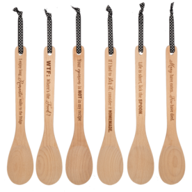 Baby Ganz Stir Crazy Spoon  ER73007
