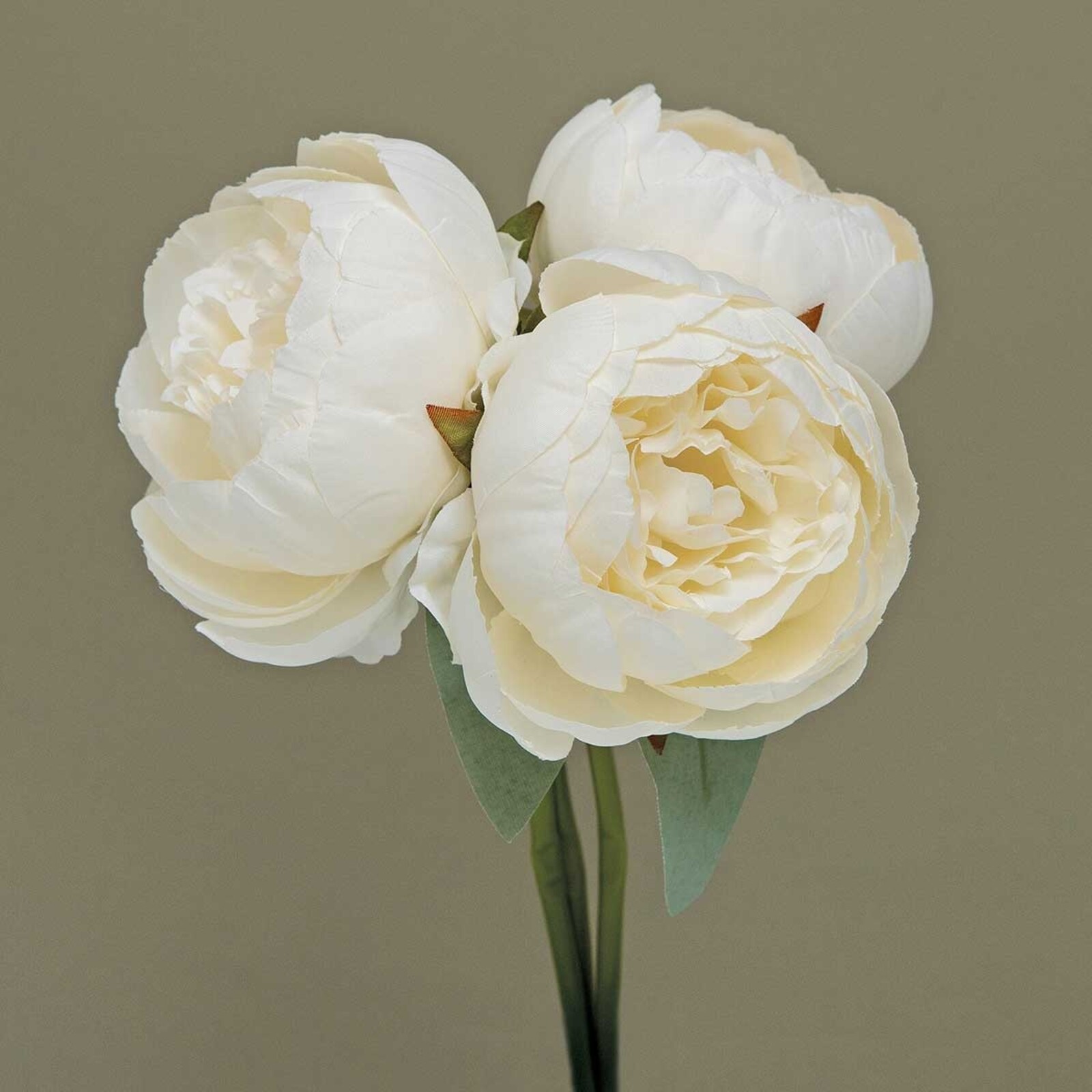 Meravic BUNDLE OF 3 PEONY CREAM    M1468 CRSP loading=