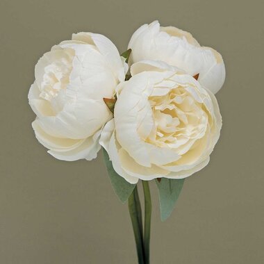 Meravic BUNDLE OF 3 PEONY CREAM    M1468 CRSP