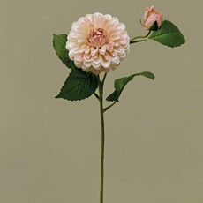 Meravic HEIRLOOM DAHLIA BALL BLUSH  M1773 BS