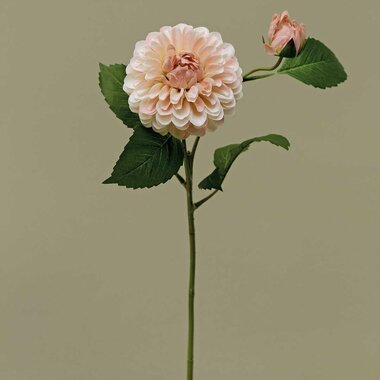 Meravic HEIRLOOM DAHLIA BALL BLUSH  M1773 BS