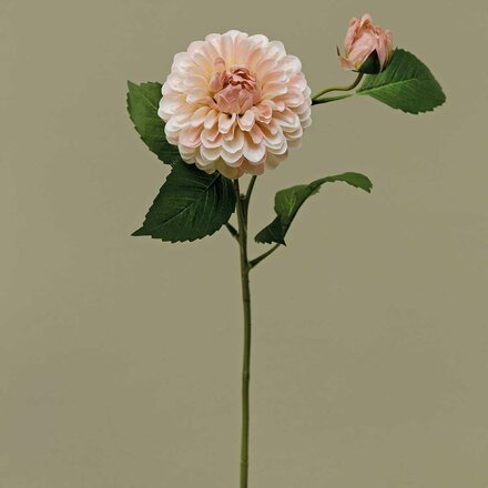 Meravic HEIRLOOM DAHLIA BALL BLUSH  M1773 BS