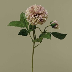 Meravic HEIRLOOM DAHLIA BALL Lavender M1773 LA