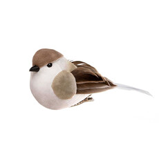 Meravic BIRD ROBIN   WITH CLIP  T5307