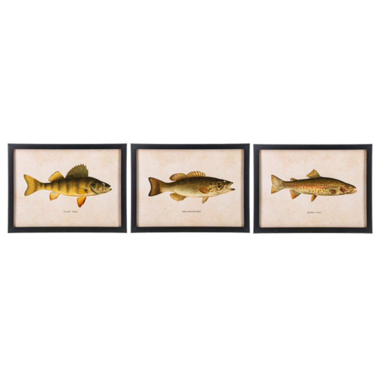 CBK Framed Fish Wall Decor  (1) CB186862 loading=