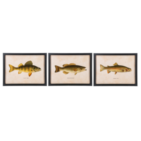 CBK Framed Fish Wall Decor  (1) CB186862