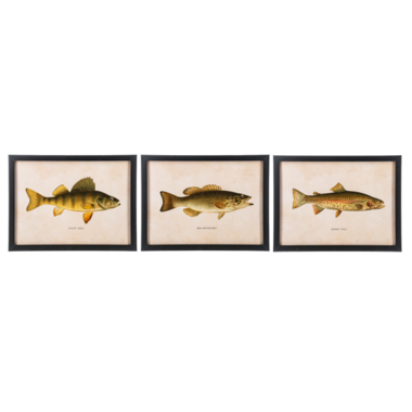 CBK Framed Fish Wall Decor  (1) CB186862
