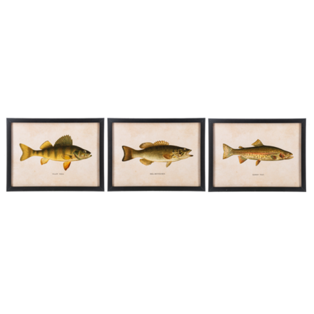 CBK Framed Fish Wall Decor  (1) CB186862