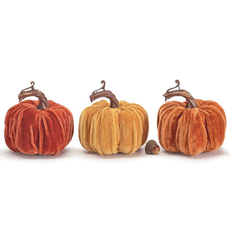 Burton + Burton SMALL VELVET PUMPKIN  (1)  9741301