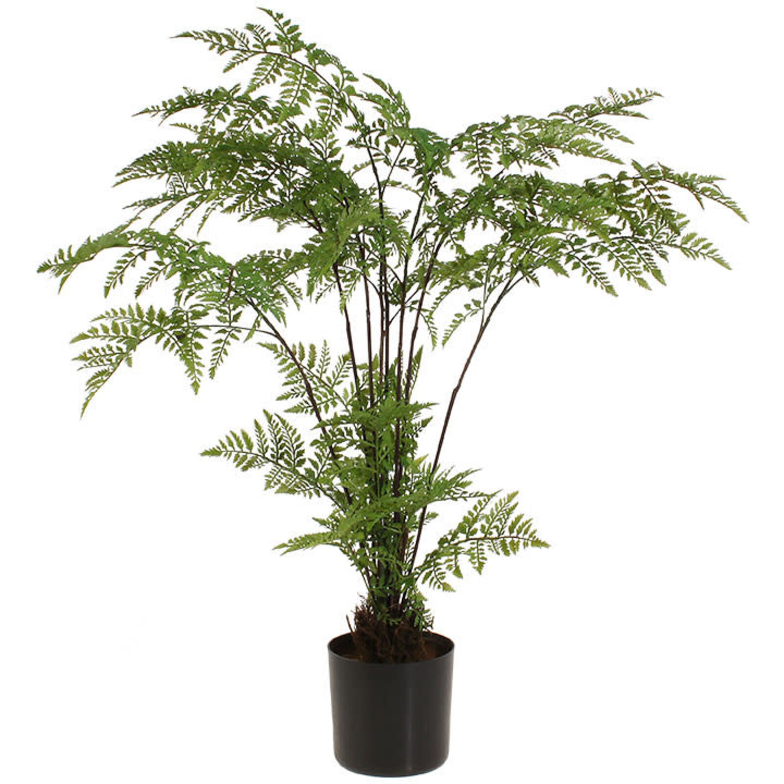 RAZ Imports Inc. 26" POTTED FERN  3802170 loading=