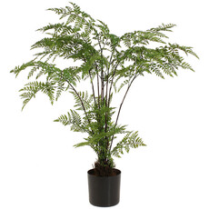 RAZ Imports Inc. 26" POTTED FERN  3802170