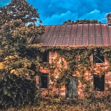 Oswaldo Tapia Dieso Newberry Historic Scene  Notecards (1)