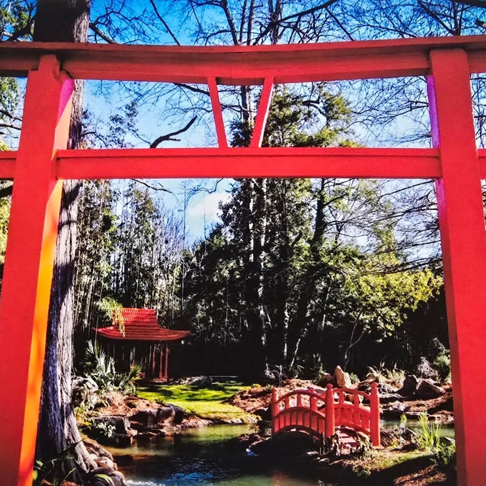 Oswaldo Tapia Dieso Newberry Garden  Notecard (1) Consignment loading=