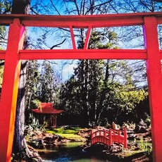 Oswaldo Tapia Dieso Newberry Garden  Notecard (1) Consignment