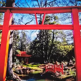 Oswaldo Tapia Dieso Newberry Garden  Notecard (1) Consignment