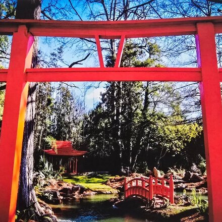 Oswaldo Tapia Dieso Newberry Garden  Notecard (1) Consignment