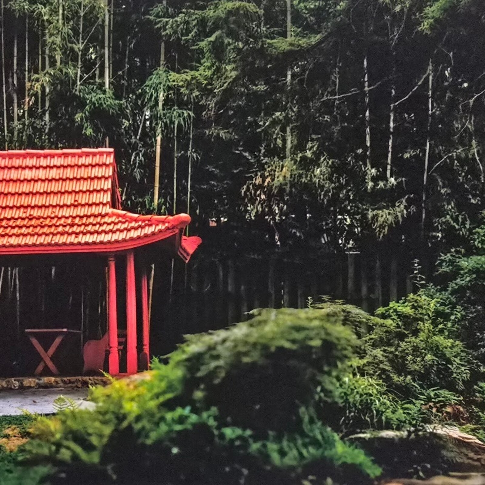 Oswaldo Tapia Dieso Newberry Garden  Notecard (1) Consignment loading=