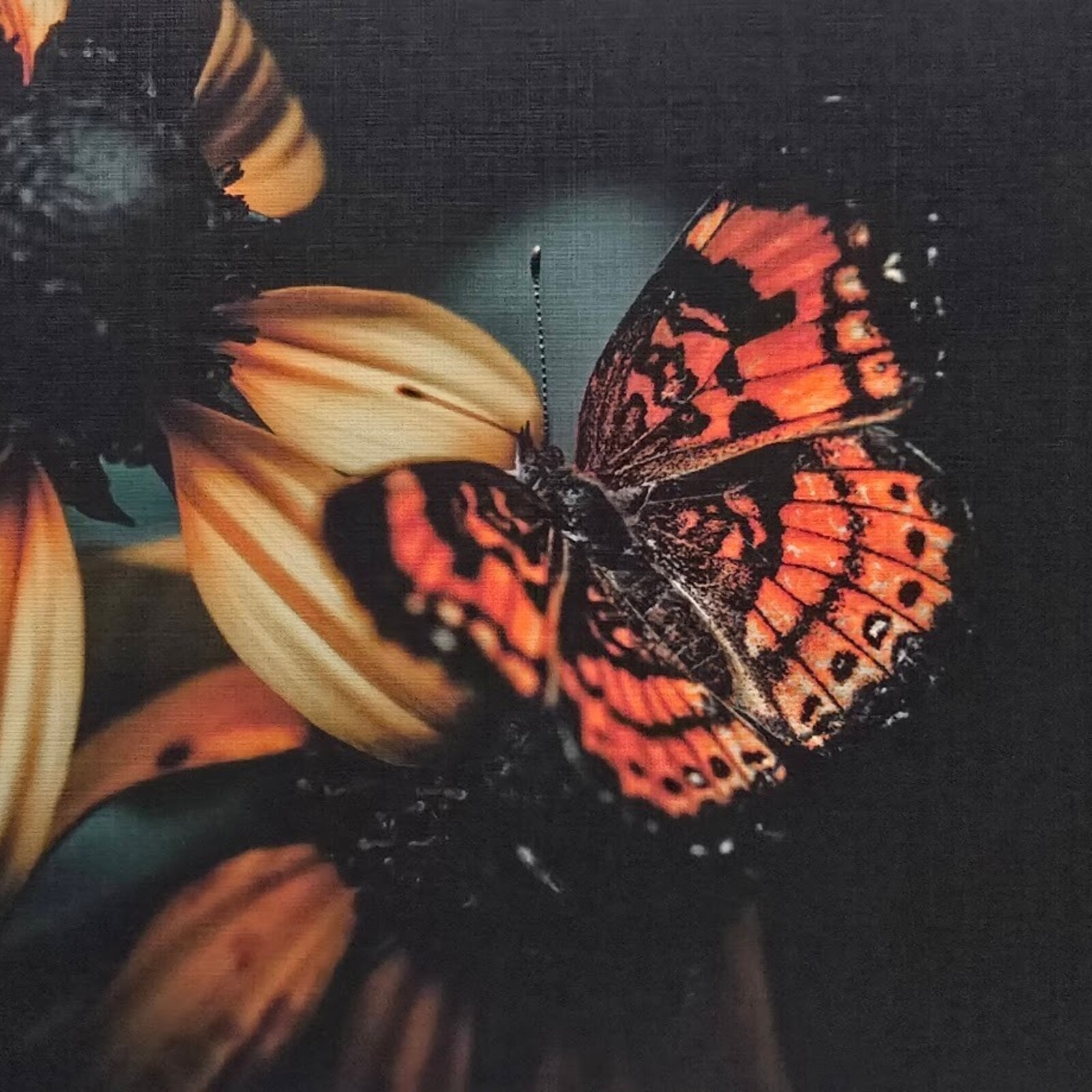 Oswaldo Tapia Dieso Newberry Garden  Notecard (1) Consignment loading=