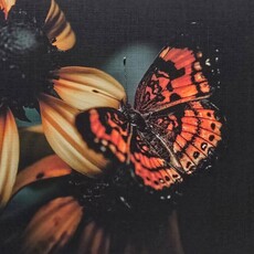 Oswaldo Tapia Dieso Newberry Garden  Notecard (1) Consignment