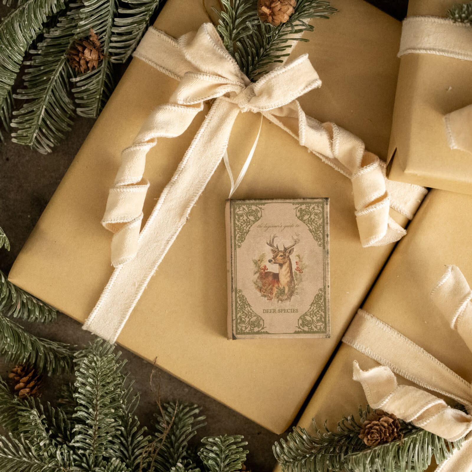 Ragon House 4" The Beginner's Guide to Deer Species Journal Ornament L238749 loading=