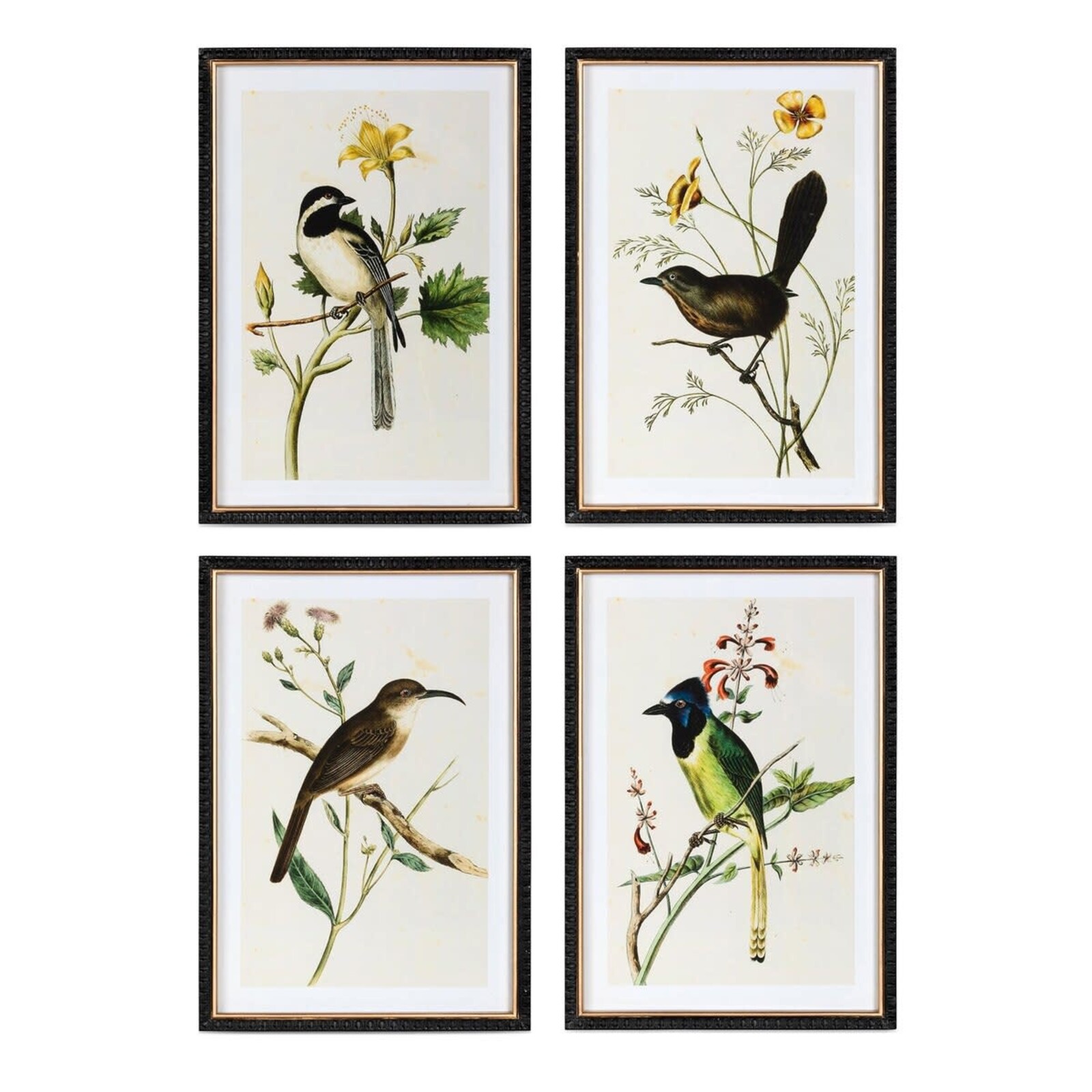 Park Hill Summer Bird Framed Print (1)  EWA40153 loading=