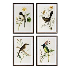 Park Hill Summer Bird Framed Print (1)  EWA40153