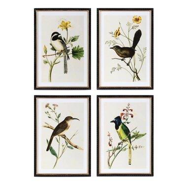Park Hill Summer Bird Framed Print (1)  EWA40153