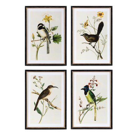 Park Hill Summer Bird Framed Print (1)  EWA40153