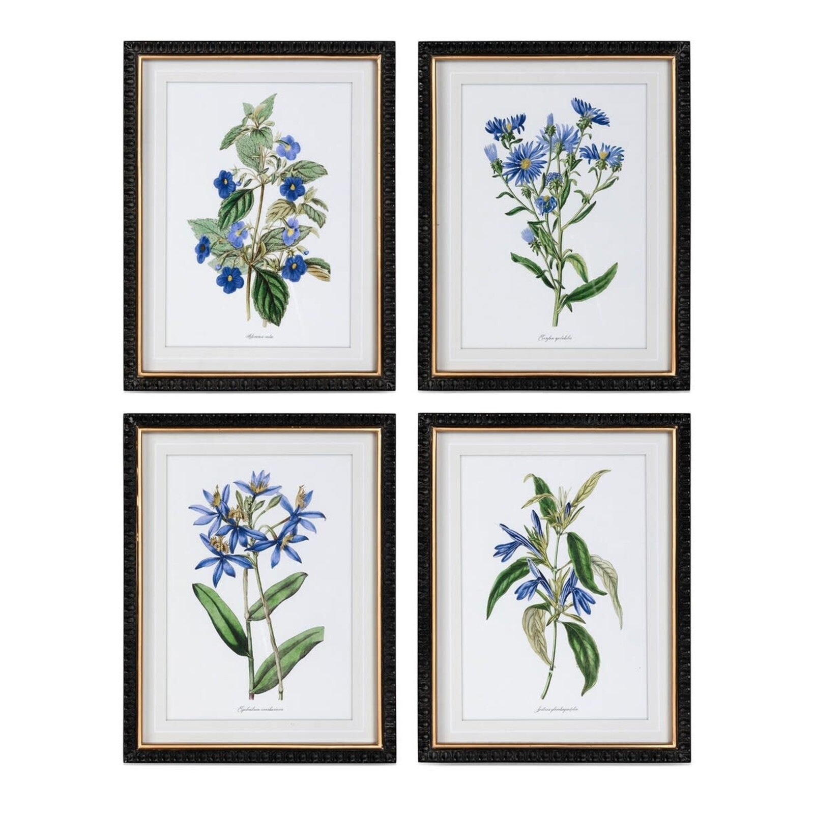 Park Hill Summer Flower Framed Print  (1)  EWA40154 loading=