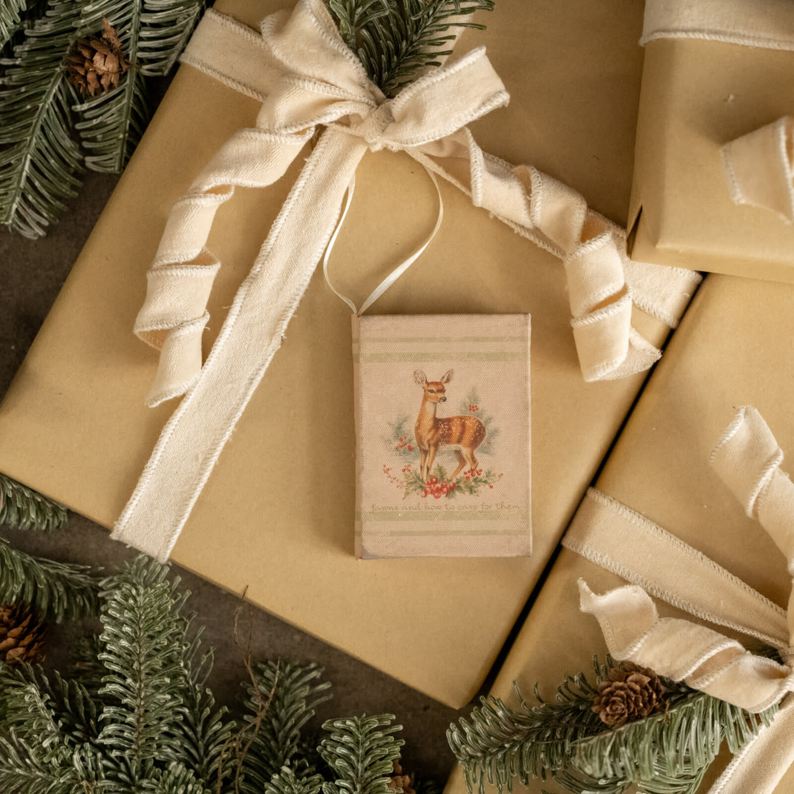 Ragon House 4" Fawns and How to Care for Them Journal Ornament L238750 loading=