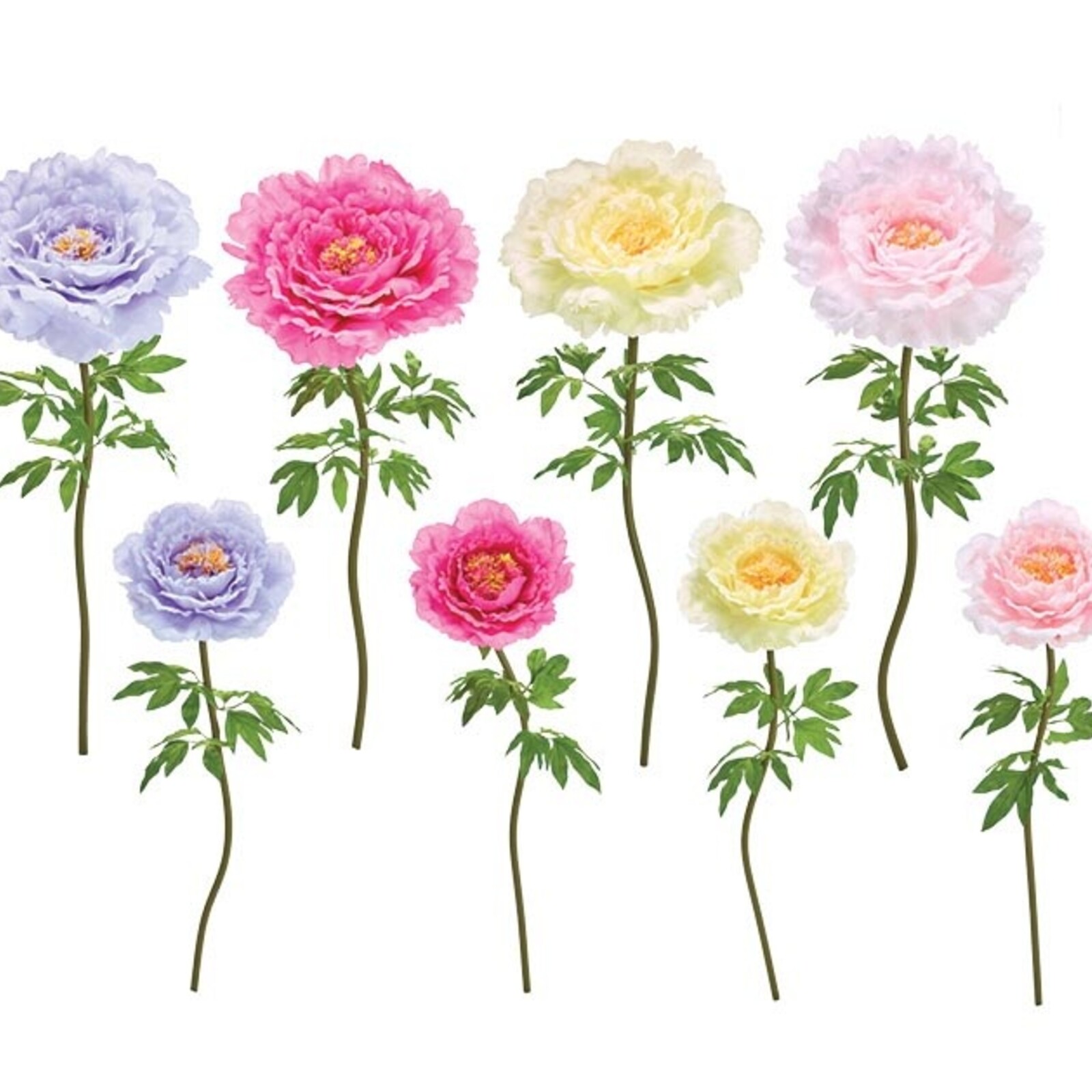 Burton + Burton Silk Large Peony  48"H (1) 9751781XL loading=