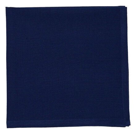 Design Imports DII Nautical Blue Napkin  8879