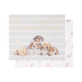 Little Wren 'Little Paws' dog card
