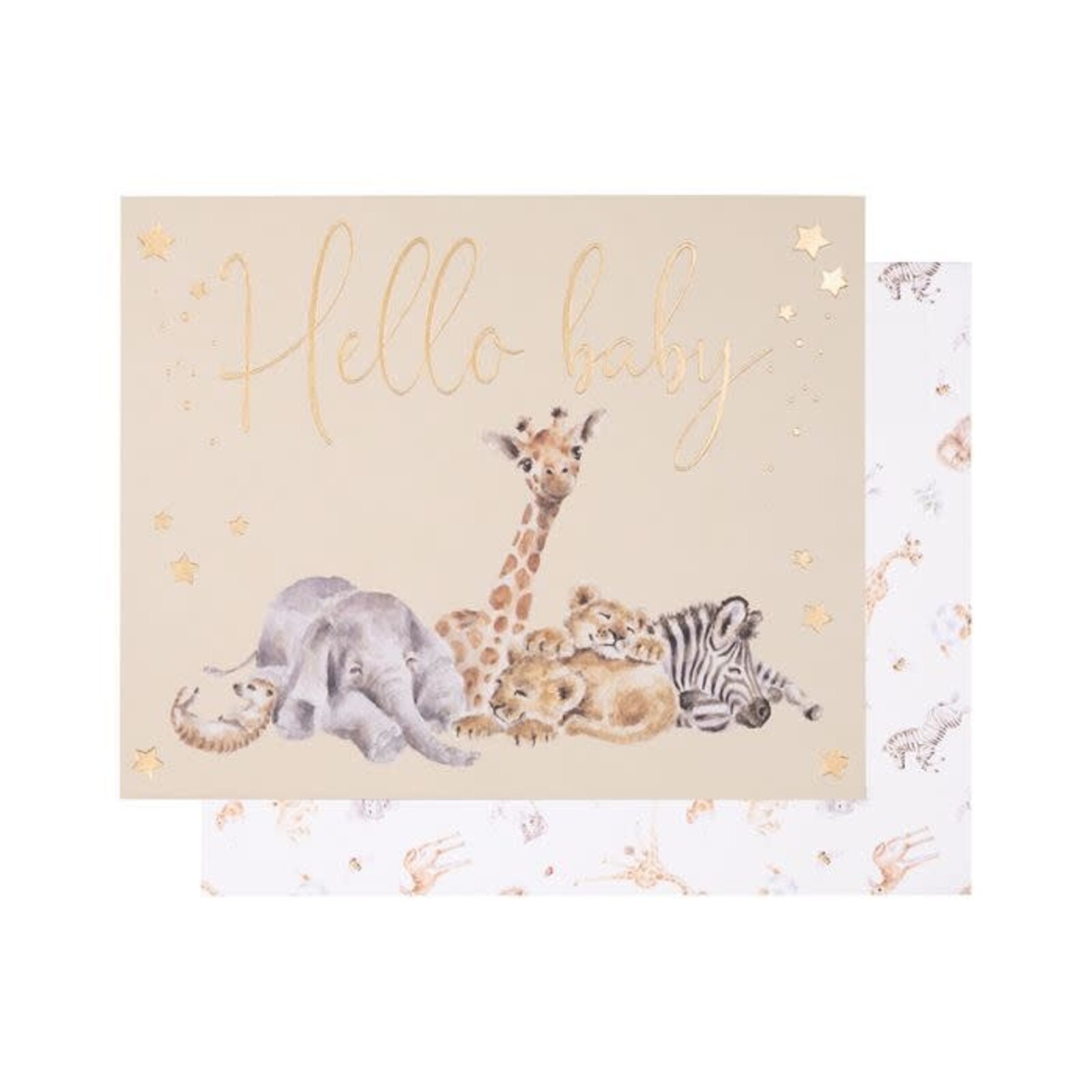 Little Wren 'Little Savannah' African animal card loading=