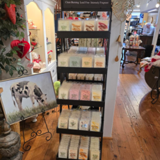 Swan Creek After the Rain Drizzle Melts