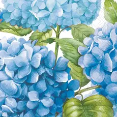 Boston International Sea Of Pink Blossoms Guest Towel White Blue - BF537394