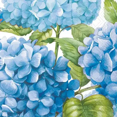 Boston International Sea Of Pink Blossoms Guest Towel White Blue - BF537394