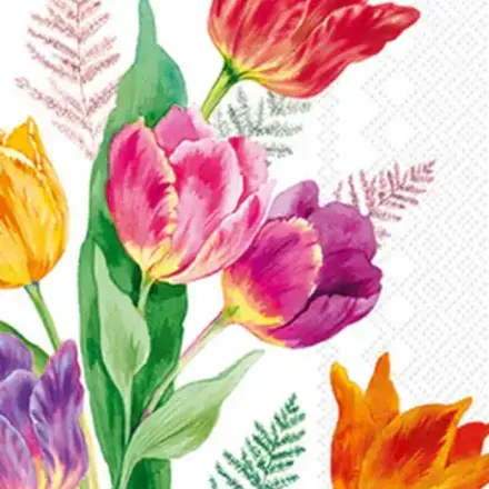 Boston International Cocktail-Bright Tulip  C1032100