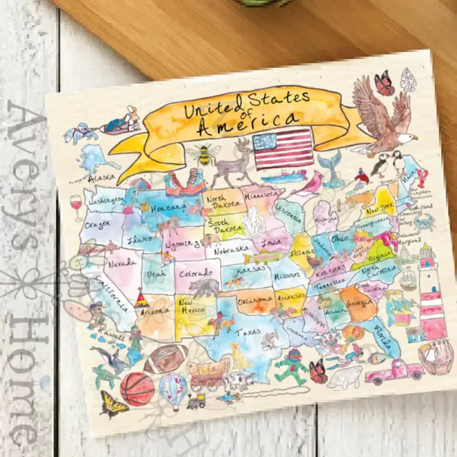 Avery Home All States America Swedish/Dishcloth - SWDC_H01 loading=